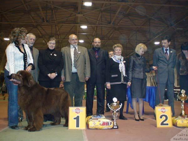 Фотография № 9727