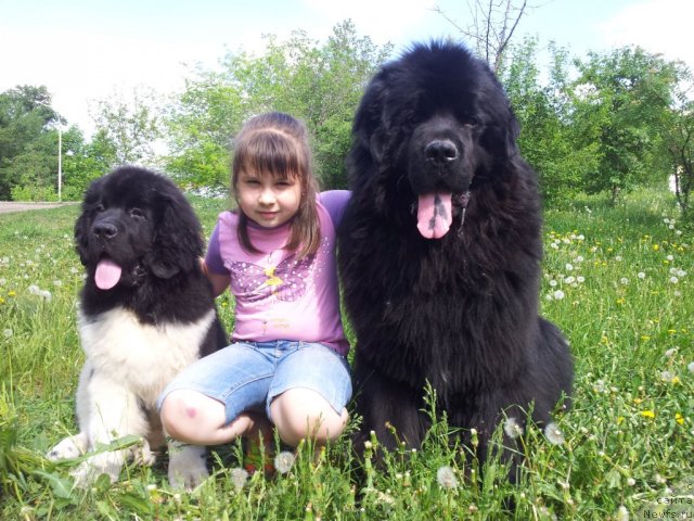 Фотография № 97352