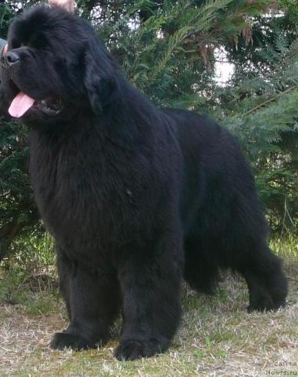 Фотография № 97354