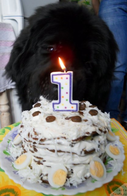 Фотография № 97413