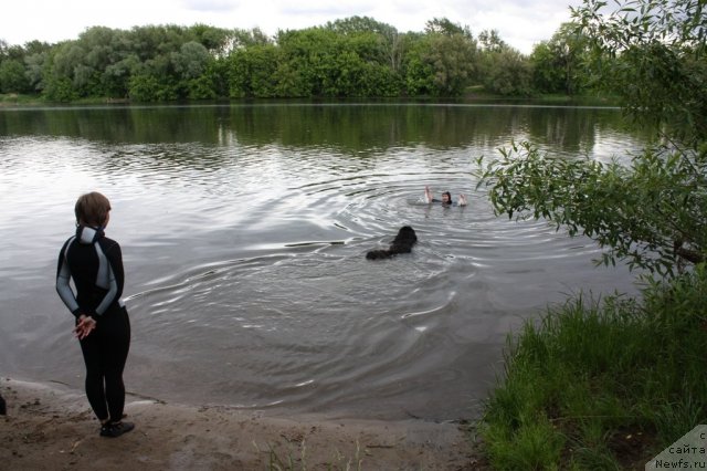 Фотография № 97433