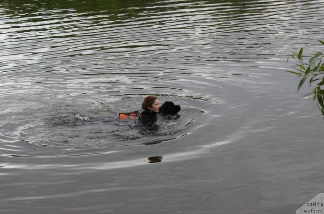 Фотография № 97434