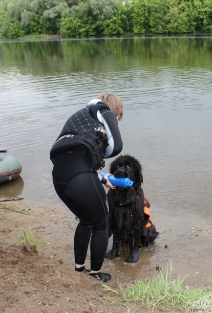 Фотография № 97435