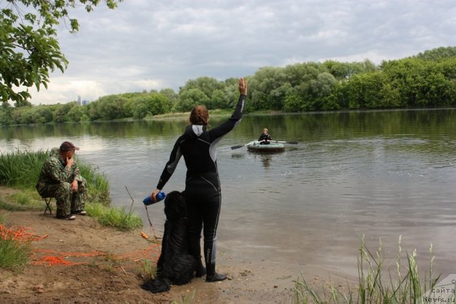 Фотография № 97436