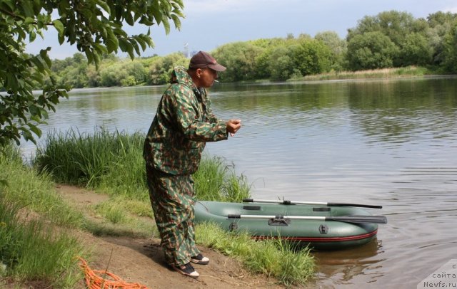 Фотография № 97439