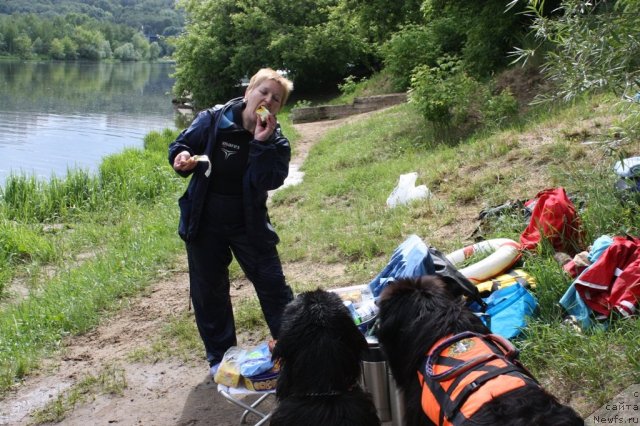 Фотография № 97440