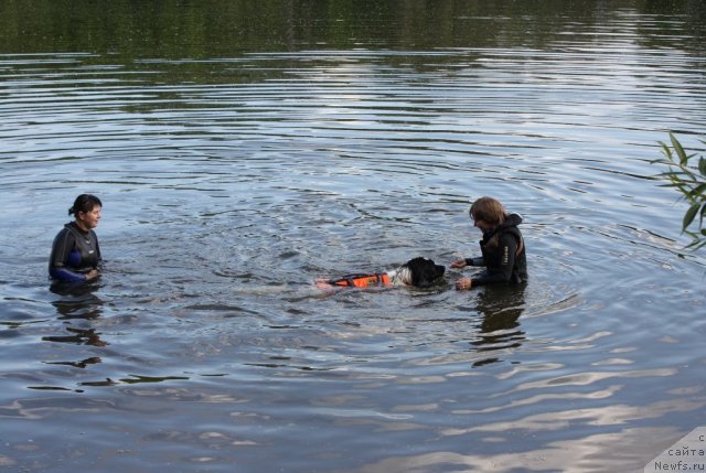 Фотография № 97446