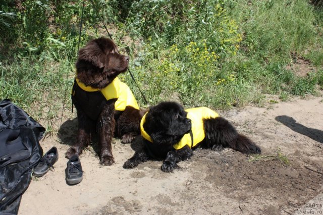 Фотография № 97447