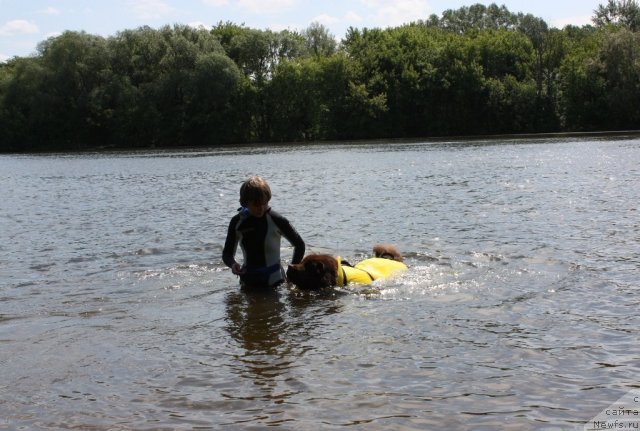 Фотография № 97449