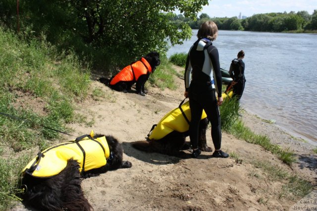 Фотография № 97451