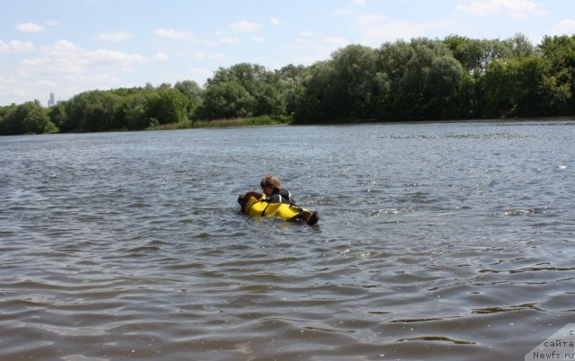 Фотография № 97453