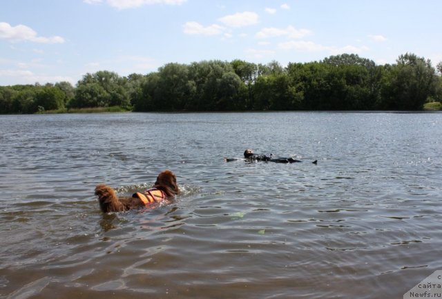 Фотография № 97455