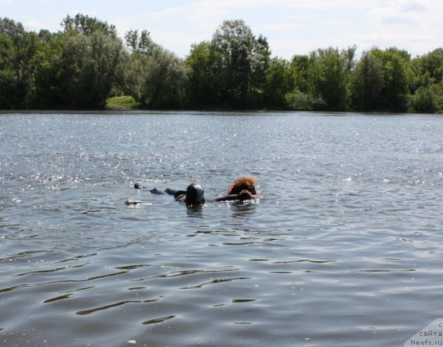 Фотография № 97456