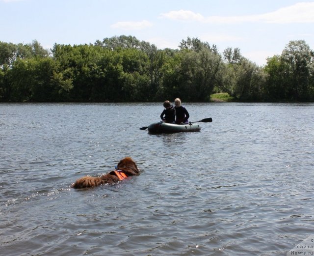 Фотография № 97457