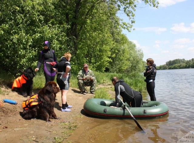 Фотография № 97458