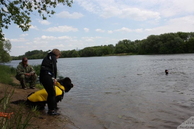 Фотография № 97461