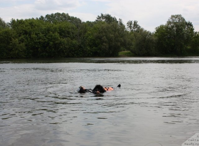 Фотография № 97465