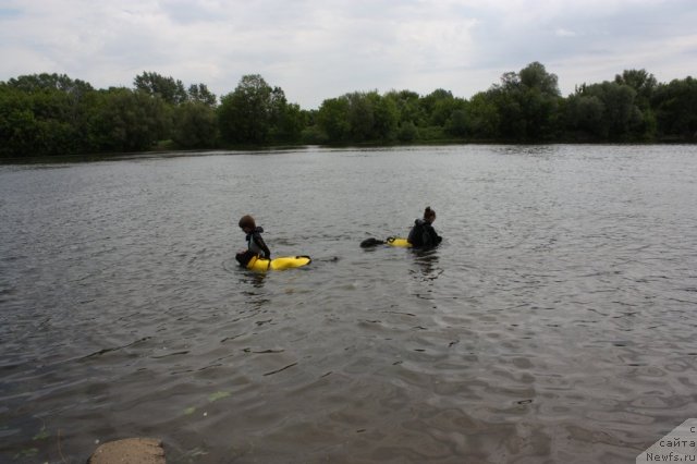 Фотография № 97467