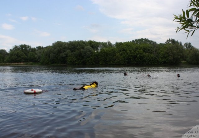 Фотография № 97469