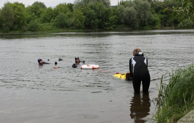 Фотография № 97470