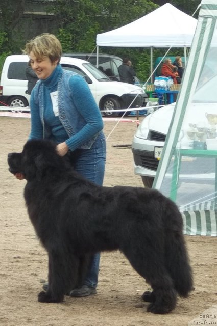 Фотография № 97500