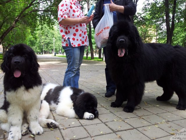 Фотография № 97525