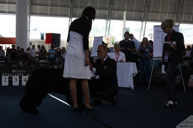 Фотография № 97527