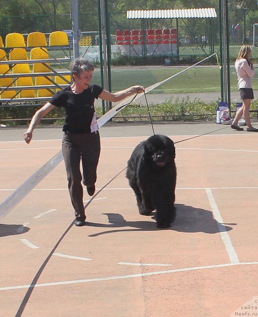 Фотография № 97594