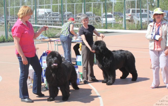 Фотография № 97598