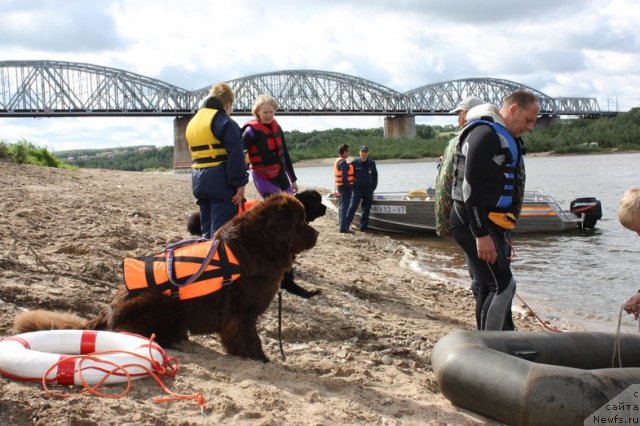 Фотография № 97630