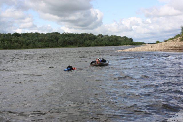 Фотография № 97633