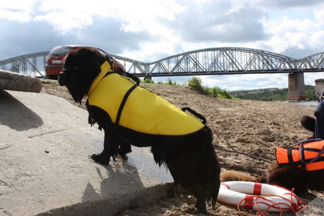 Фотография № 97636