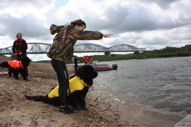 Фотография № 97643