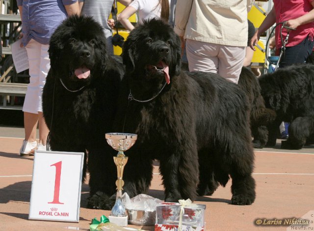 Фотография № 97646