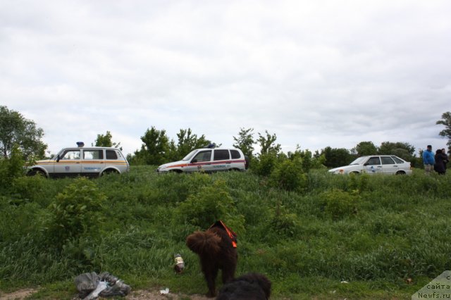 Фотография № 97656