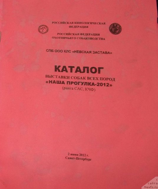 Фотография № 97661