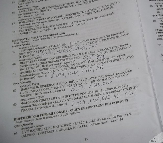 Фотография № 97662