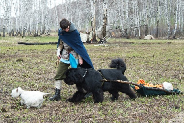 Фотография № 97663