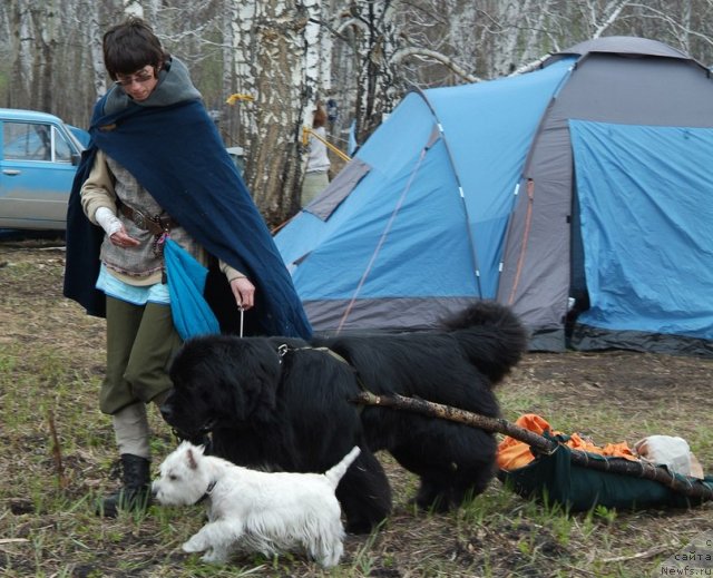 Фотография № 97665