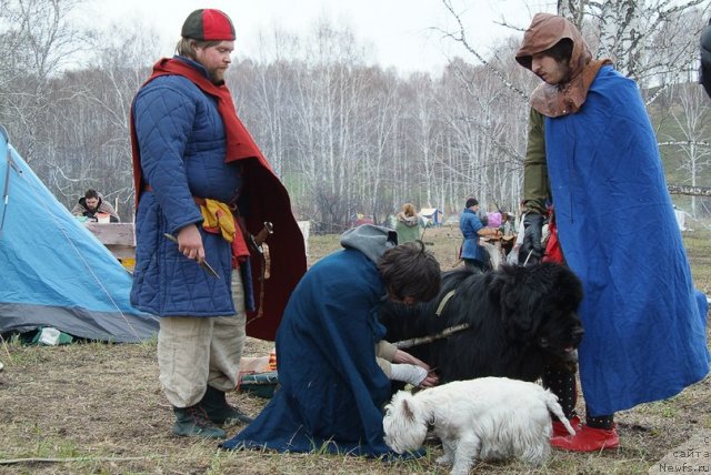 Фотография № 97666