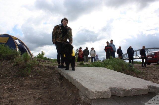 Фотография № 97668