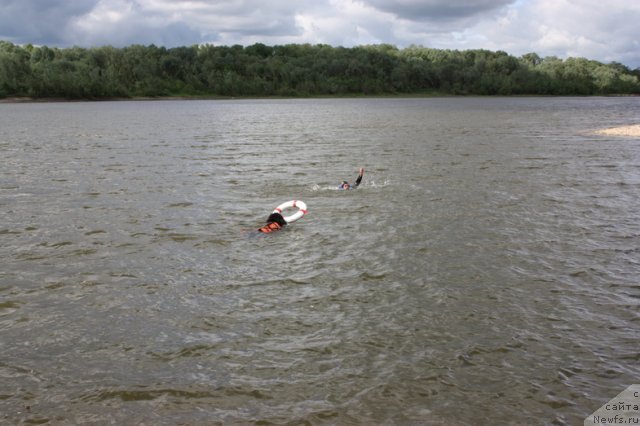 Фотография № 97674