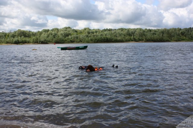 Фотография № 97678