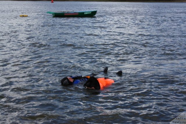 Фотография № 97684