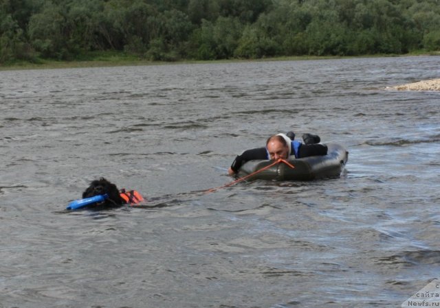 Фотография № 97690