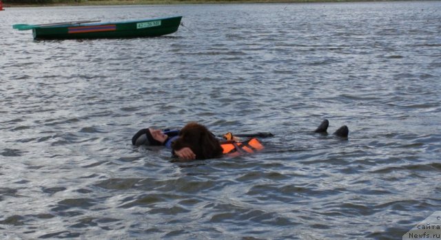 Фотография № 97691