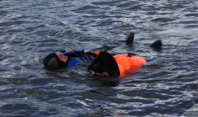 Фотография № 97692