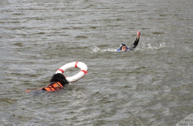 Фотография № 97693