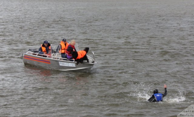 Фотография № 97694