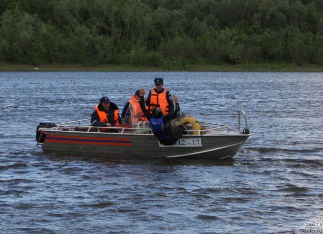 Фотография № 97695